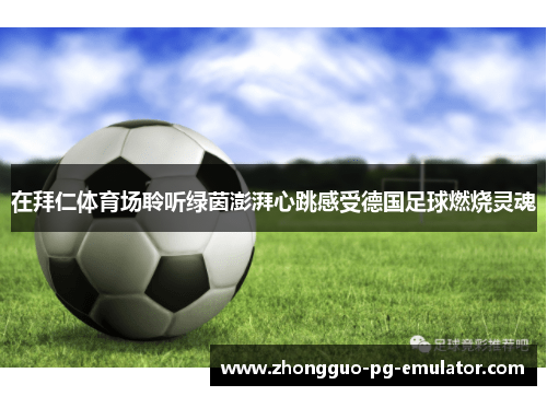 在拜仁体育场聆听绿茵澎湃心跳感受德国足球燃烧灵魂