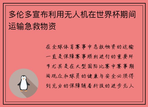 多伦多宣布利用无人机在世界杯期间运输急救物资