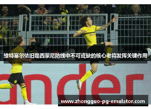 维特塞尔依旧是西蒙尼防线中不可或缺的核心老将发挥关键作用