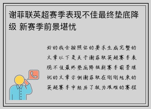 谢菲联英超赛季表现不佳最终垫底降级 新赛季前景堪忧
