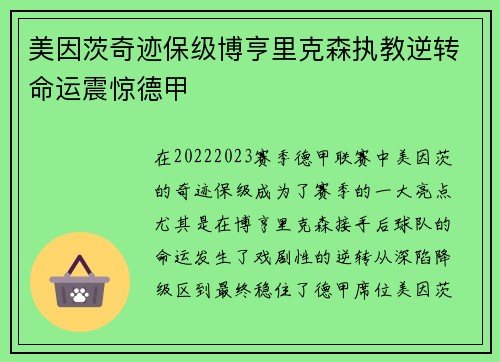 美因茨奇迹保级博亨里克森执教逆转命运震惊德甲 美因茨奇迹保级博亨里克森执教逆转命运震惊德甲